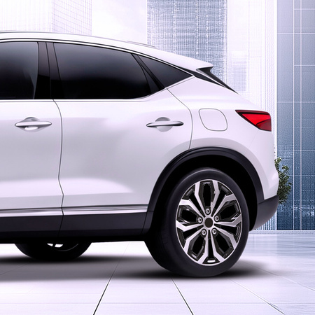 GÓRECKI Kołpaki samochodowe HORNET silver black 16"